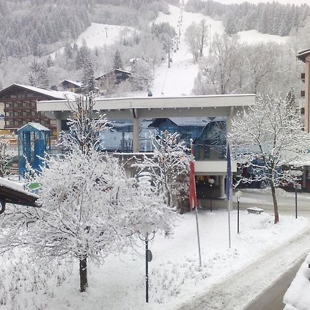 Haus Kleineisen By Chatel Reizen Zell am See Exterior photo
